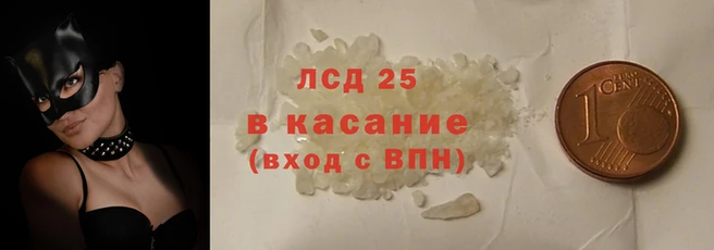 шишки Алексин
