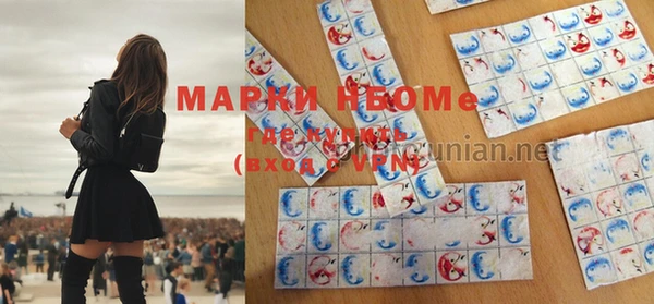 шишки Алексин